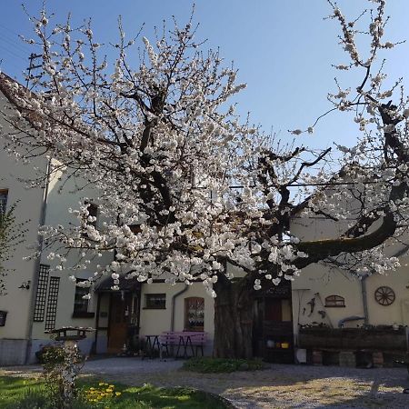 Ferienwohnung Zum-Alten-Kirschbaum Limburg an der Lahn Exterior photo